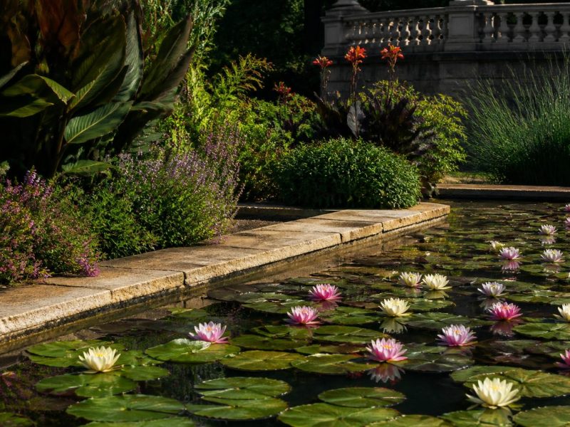 Nurturing a Year-Round Pond: Practical Garden Guidance for Healthy Water Features